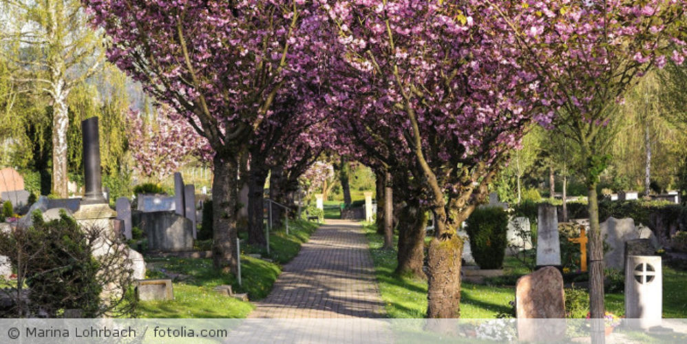 Friedhof.