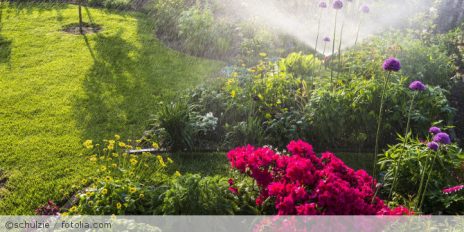 Ein Garten der mit einer Anlage bewässert wird.