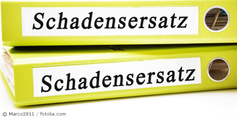 Zwei grüne Ordner mit der Aufschrift "Schadenersatz".
