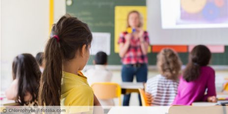 Eine Lehrerin unterrichtet eine Schulklasse.