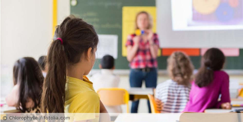 Eine Lehrerin unterrichtet eine Schulklasse.