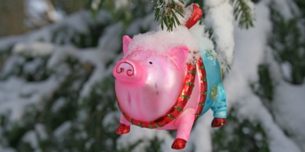Ein Schwein als Baumschmuck am Weihnachtsbaum.