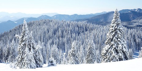 Ein Gebirge, wo die Bäume voller Schnee sind wir d von oben gezeigt.
