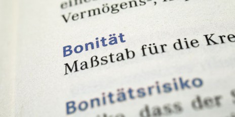 Buch wo das Wort Bönität samt mit der Definition im Vordergrund steht.