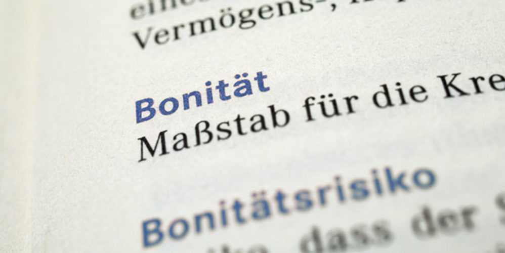Buch wo das Wort Bönität samt mit der Definition im Vordergrund steht.