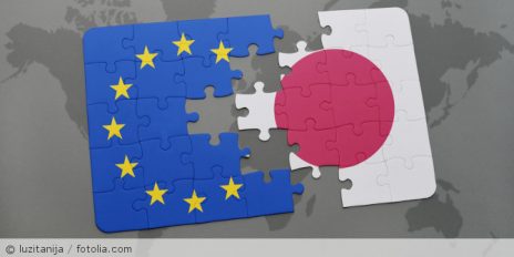 EU und Japan Puzzle.