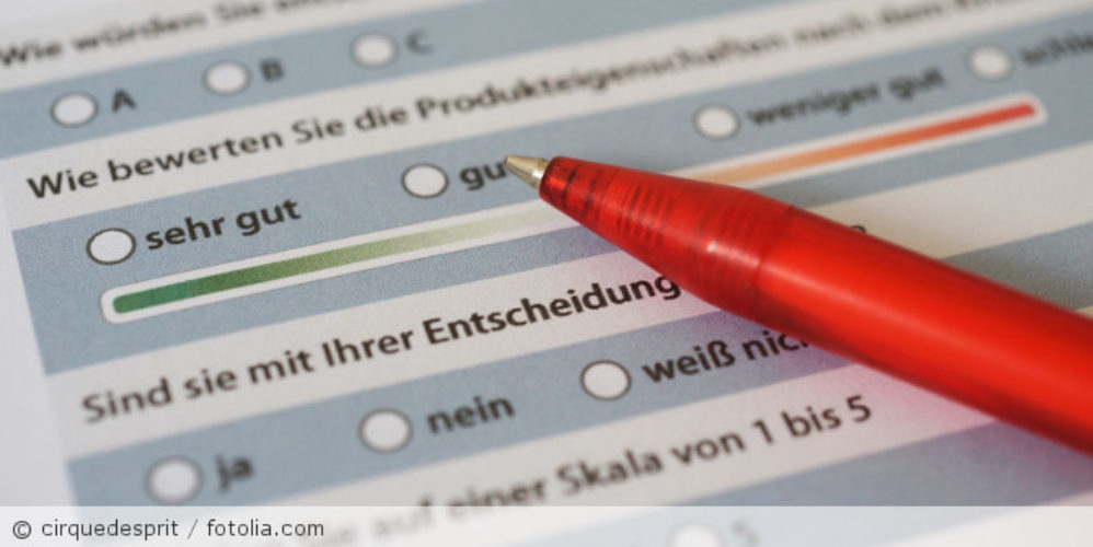 Ausschnitt von einem Umfragebogen.