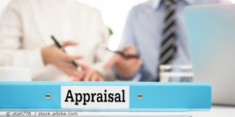 Ordner mit der Aufschrift "Appraisal".
