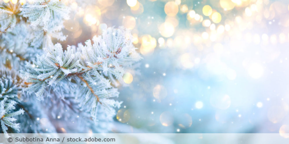 Winter_Christmas_Weihnachten_Baum_Frost_AdobeStock_295662882