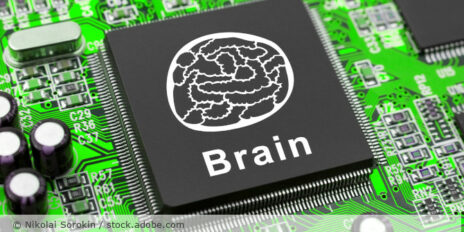Brain_Gehirn_Chip_AdobeStock_10252540
