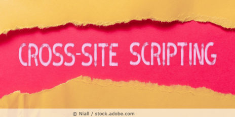 Writing displaying text Cross Site Scripting
