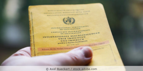 Hand mit gelbem Impfbuch