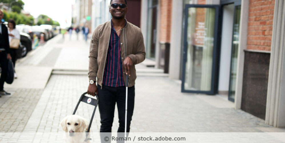Blinder mit Blindenhund