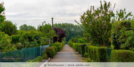 Kleingarten_Weg_Schrebergarten_AdobeStock_347536414
