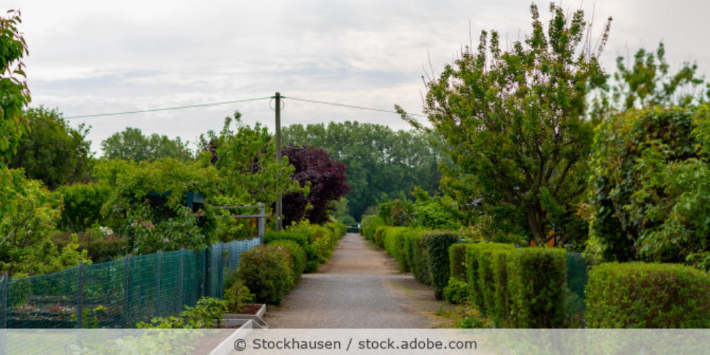 Kleingarten_Weg_Schrebergarten_AdobeStock_347536414