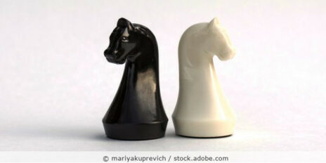 Schachfiguren_Springer_Interessenkonflikt_AdobeStock_167466384_Variante1