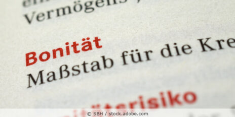 Detailaufnahme aus einem Wörterbuch vom Begriff Bonität.