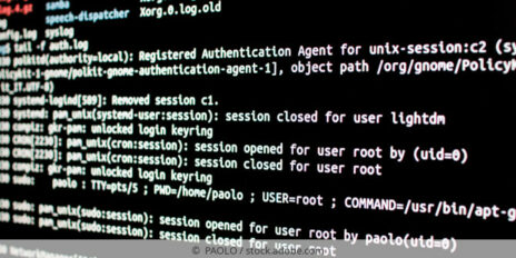 Analyse von Logfiles in einem IT-System.