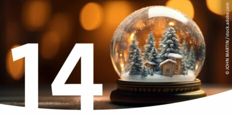 Eine Schneekugel mit einer winterlichen Landschaft aus Tannen und kleinen Hütten als Bild für den 14. Dezember im Adventskalender.
