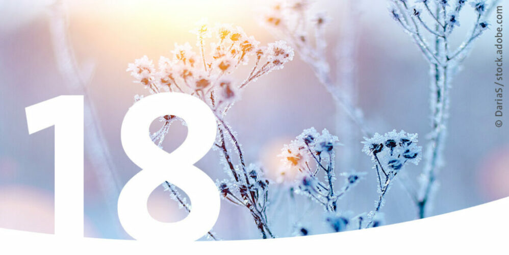 Vereiste Äste im Sonnenlicht als Bild für den 18. Dezember im Adventskalender.