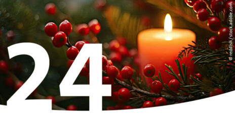 Eine brennende Kerze umgeben von Tannenzweigen und roten Beeren als Bild für den 24. Dezember im Adventskalender.