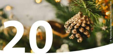 Weihnachtsbaum mit Tannenzapfen und im Vordergrund die Zahl 20.